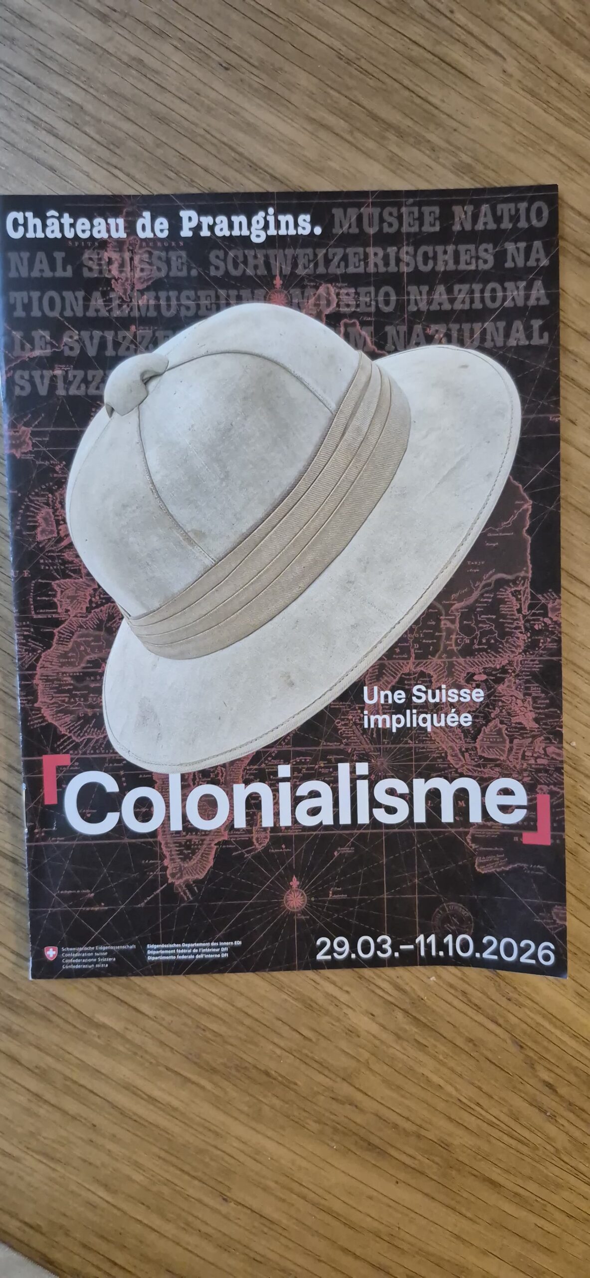 Perihan Kaya: Kakao’dan Zeytin’e İşgal…