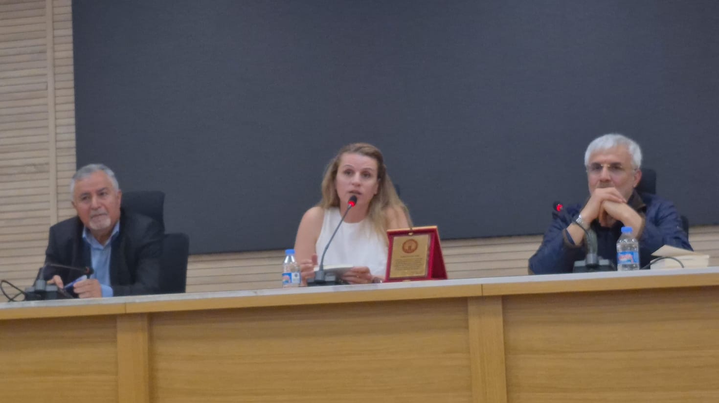 Diyarbakır / Panel: Dîdeyên Dil…